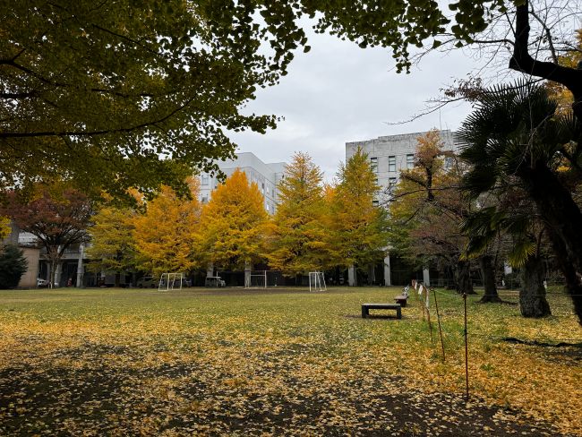 東京大学駒場キャンパス内